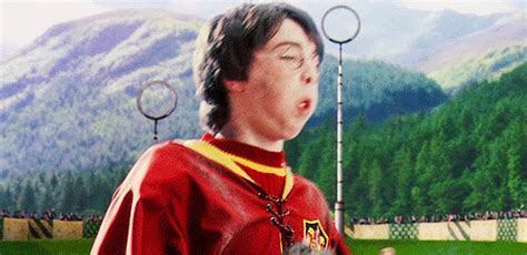 Harry catches his first Golden Snitch — Harry Potter Fan Zone