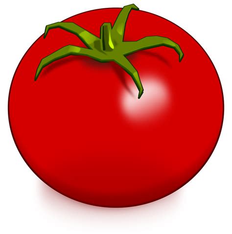 Tomato Drawing Vegetable Clip art - tomato png download - 2376*2400 - Free Transparent Tomato ...