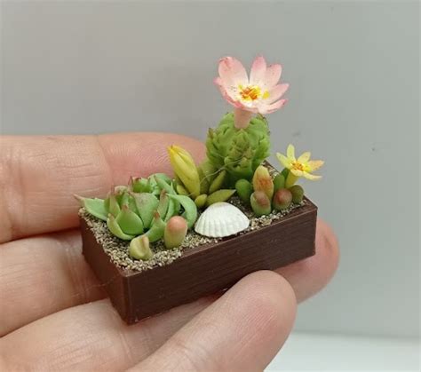 Miniature сomposition of Mini Succulents and Cactus. Plants - Etsy