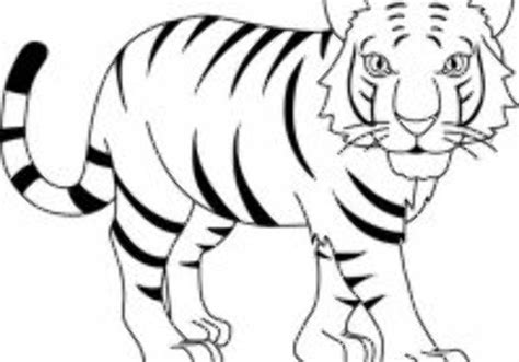 Download High Quality tiger clipart outline Transparent PNG Images - Art Prim clip arts 2019