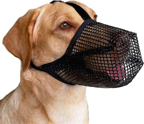 Amazon.com : Dog Muzzle, Soft Nylon Anti Biting Barking Chewing Mesh Muzzle Breathable Dog Mouth ...