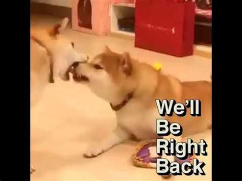 We'll be right back meme - YouTube