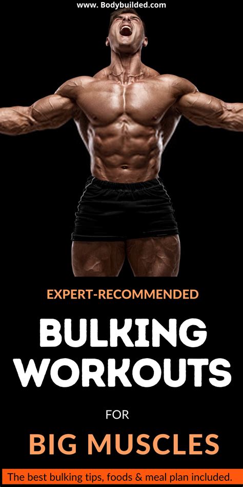 3 powerful bulking workout programs to bulk up fast and build big body muscles. | Training ...