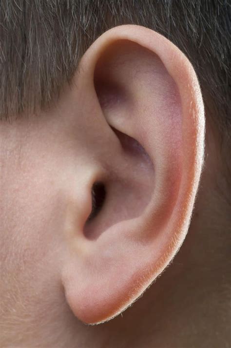 What Does It Mean When The Inside Of My Ear Is Always Itchy ...