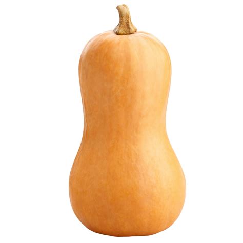 Butternut Squash - Farm Fresh Products | Food Products Supplier ...