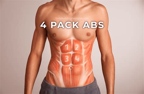 4 Pack Abs vs 6,8,10 Pack: Men & Women Genetics, Body Fat Percentage