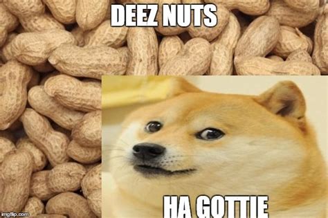 Best These Nuts Jokes | Freeloljokes