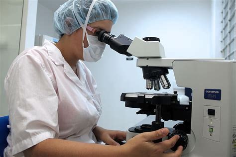 woman using microscope, Microscope, Diagnosis, Lab, Veterinary, semen, cells, white, tests ...