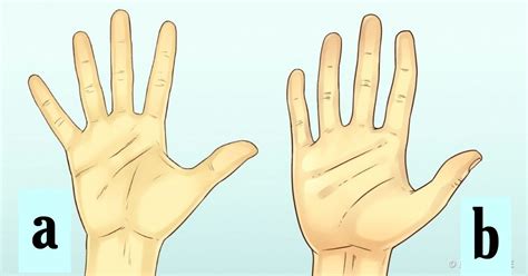 Test: Your Hand Size Says A Lot About Your Personality