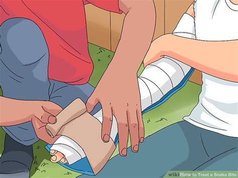 3 Ways to Treat a Snake Bite - wikiHow