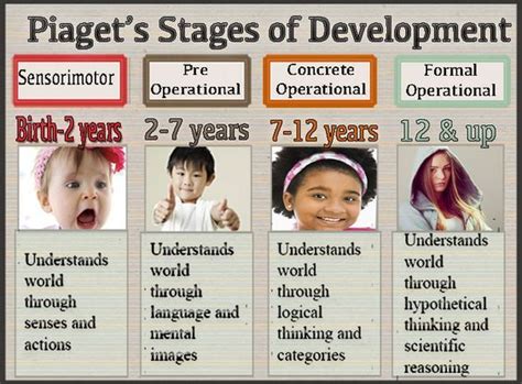 Piaget's Stages of Development | Child development theories, Piaget stages of development, Child ...