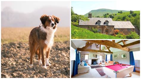 Top 10 Dog-Friendly Cottages for a UK Break | Oliver's Travels