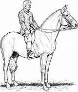 Free Horse Coloring Pages sketch template