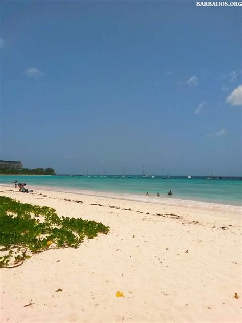 Carlisle Bay Barbados | Barbados beaches, Beautiful beaches, Carlisle bay