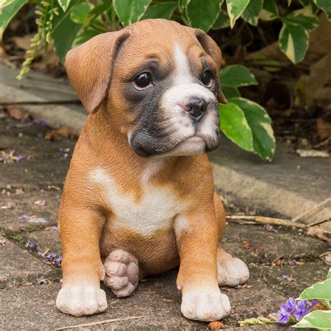 Hi-Line Gift Ltd. Boxer Puppy Garden Statue | Boxer puppy, Boxer dogs, Boxer puppies