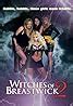 The Witches of Breastwick 2 (Video 2005) - The Witches of Breastwick 2 (Video 2005) - User ...