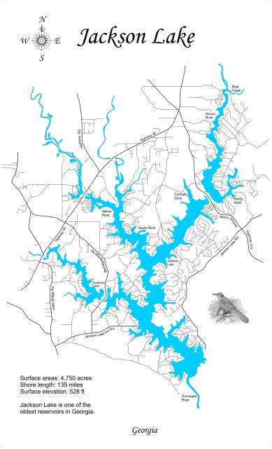 Jackson Lake, Georgia - Laser Cut Wood Map