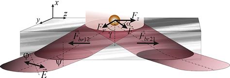 Frontiers | Extraordinary Manifestation of Evanescent Wave in Biomedical Application