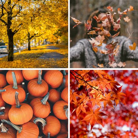 10 best free stock photos for autumn | RoseComm