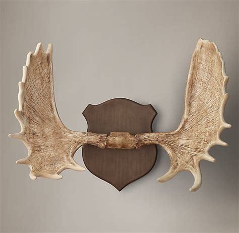 Moose Antlers in Cast Resin | Moose antler decor, Moose antlers ...