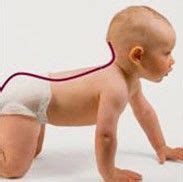 Carrying babies in an upright position | Baby health, Baby development, Baby advice