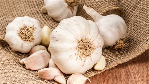 Substance from garlic combats chronic infections