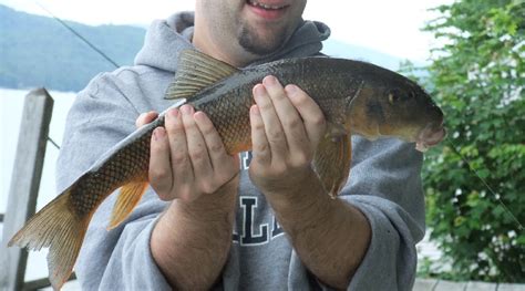 Newfound Lake, NH Fishing Report - MA Fish Finder