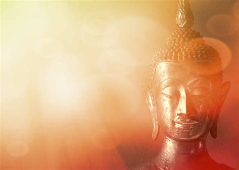 Free stock photo of background, buddha, buddhism