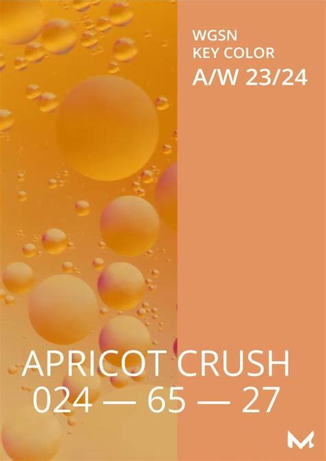 WGSN & Coloro Color A/W 23/24 - Apricot Crush | Design color trends ...