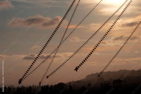 traditional dragon kite flying at beach during golden sunset Stock ...