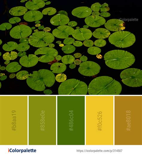 49 Green Color Combinations | Curated collection of Color Palettes