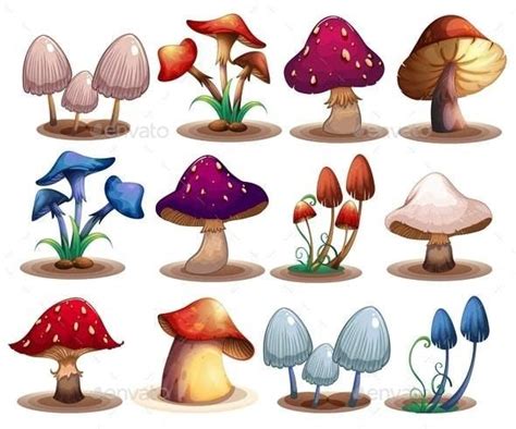 Stunning Mushroom Illustrations for $6