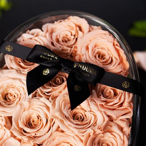 Preserved Roses in Heart Shaped Display Box | Endura Roses