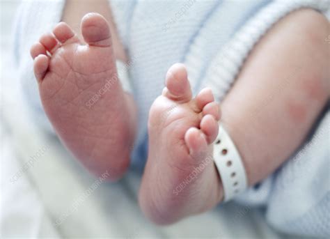 Newborn Baby Feet Photography