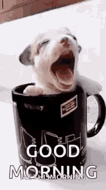 Puppy Cup GIF - Puppy Cup GoodMorning - Discover & Share GIFs