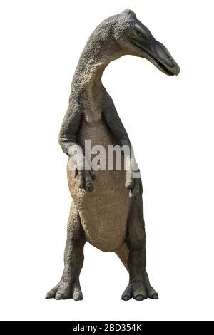 Anatosaurus, Bipedal Duck-billed Dinosaurs Hadrosaurs of the Late Cretaceous Period, Found as ...