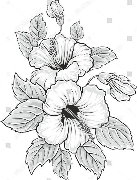 Desenhos de Flores +De 120 Modelos - Tatuagens Ideias - Althea Evans - Pin | Riscos para pintura ...