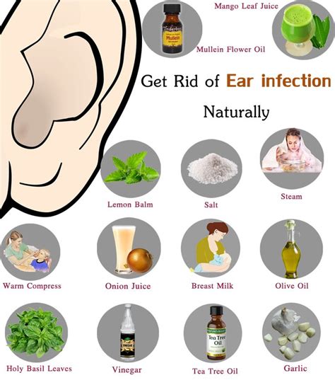 Will amoxicillin treat ear infection :: bituco.com.vn