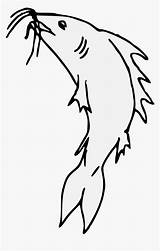 Cliparts For Free Download Catfish Clipart Coloring  Clip Art HD Png sketch template