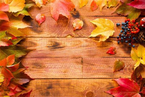 Thanksgiving Day, Autumn Leaves Background Stock Image - Image of season, autumnal: 80102965