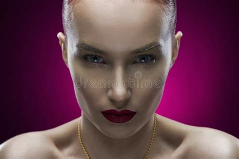 The Girl`s Portrait with Ornament for Hair on a White Background Stock Image - Image of female ...