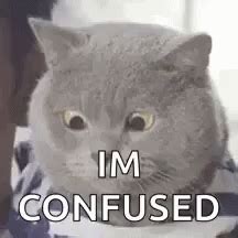 Confused Cat GIF - Confused Cat - Discover & Share GIFs