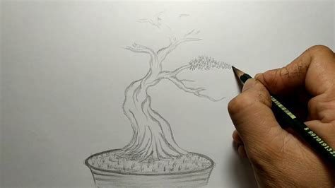 Cara Menggambar pohon bonsai [How to draw a bonsai tree ] - YouTube