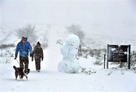 Snow hits Northern Ireland - Belfast Live