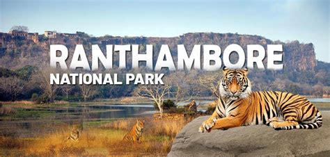 Ranthambore Temples | Ranthambore National park