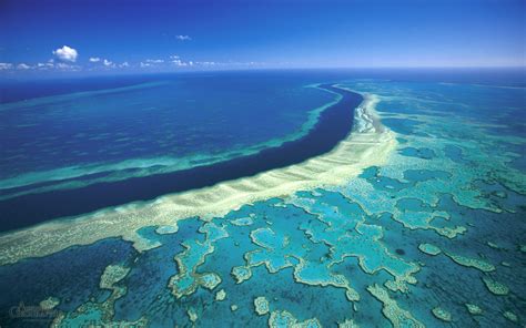 Great Barrier Reef: is there still time to save this national treasure?