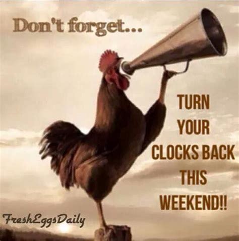 Turn Your Clocks Back This Weekend!! Pictures, Photos, and Images for ...