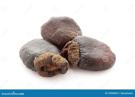 Organic Dry Bhilawa (Semecarpus Anacardium) Seeds. Stock Photography | CartoonDealer.com #74590838