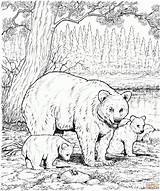 Free Printable Realistic Animal Coloring Pages  sketch template