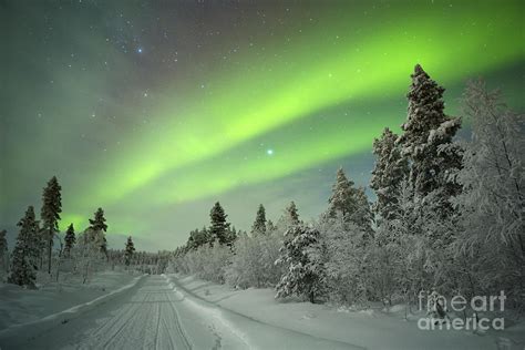 Spectacular Aurora Borealis Northern Photograph by Sara Winter